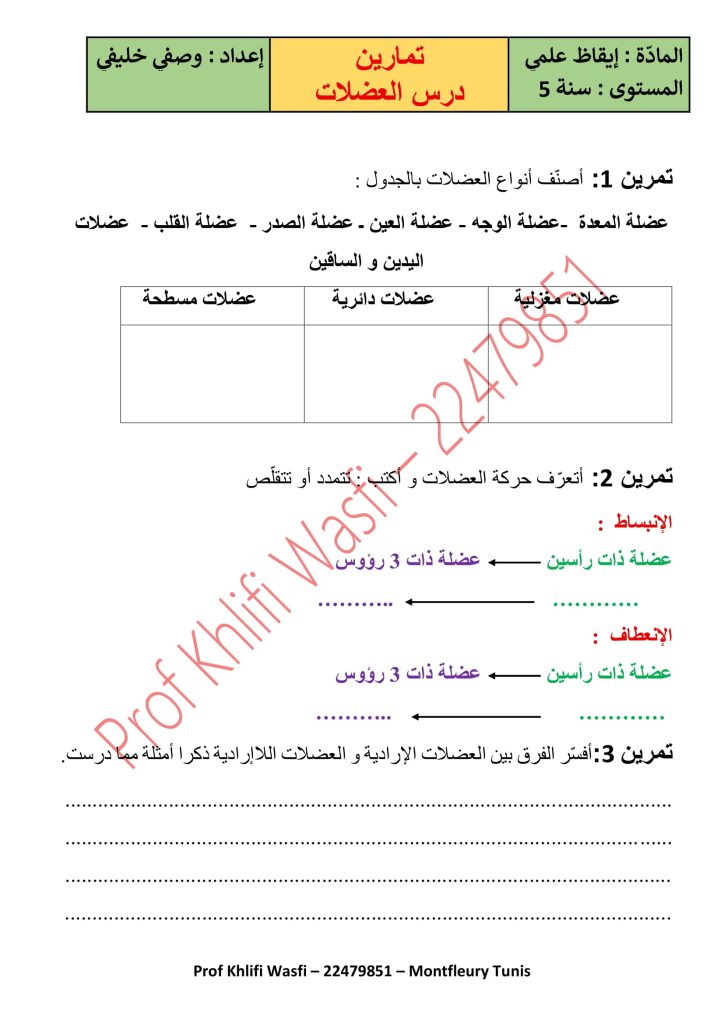 تمارين العضلات بالإصلاح سنة خامسة