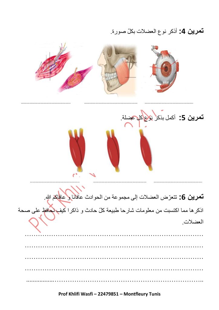 تمارين العضلات بالإصلاح سنة خامسة