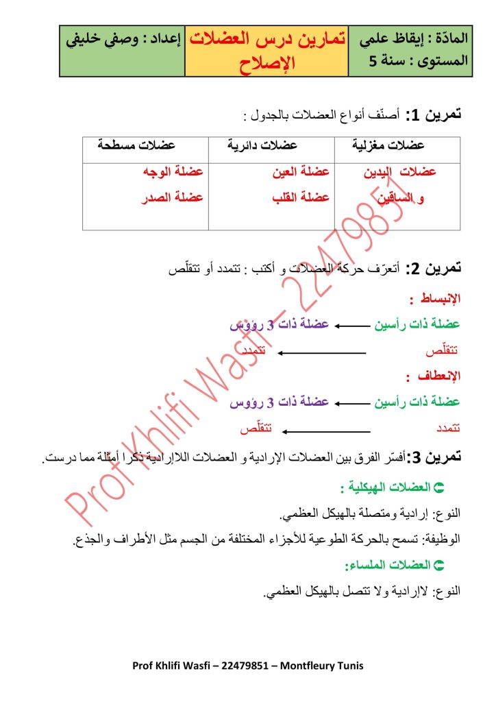 تمارين العضلات بالإصلاح سنة خامسة