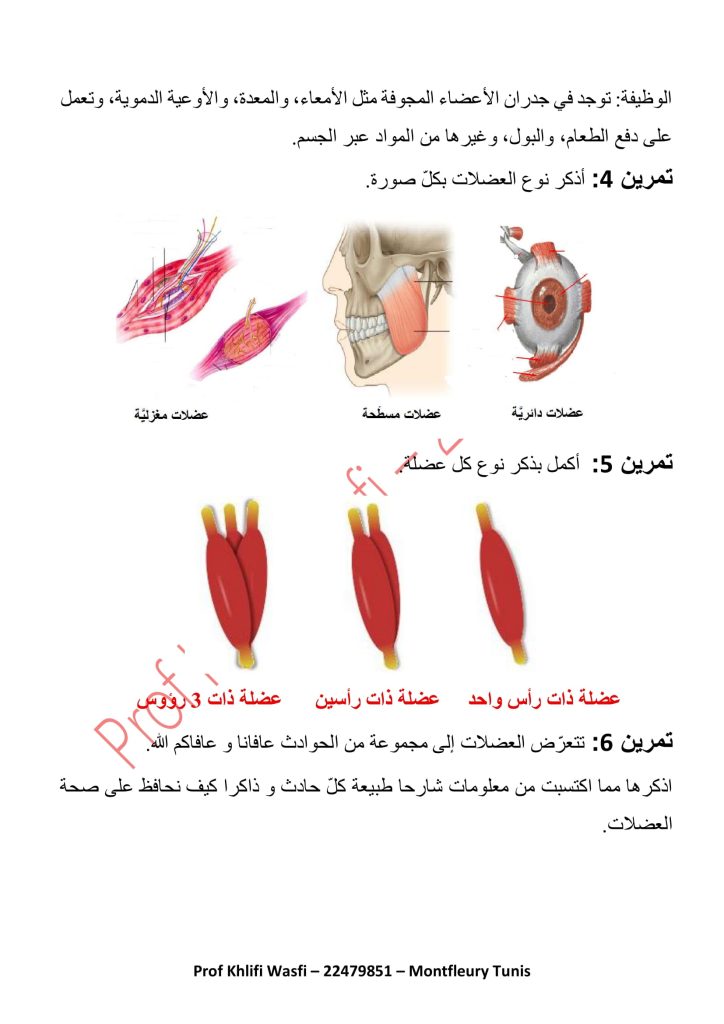 تمارين العضلات بالإصلاح سنة خامسة